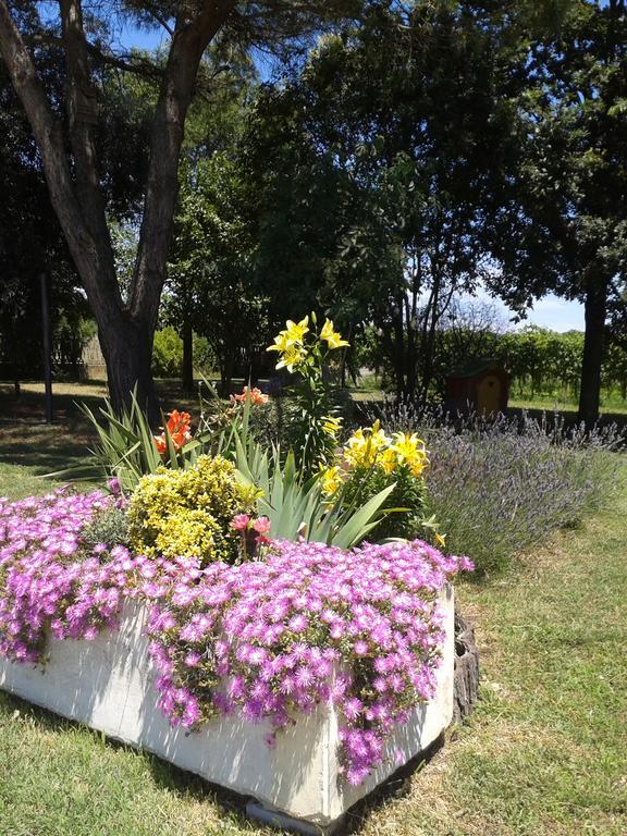 Valle Rillo Agriturismo Βίλα Comacchio Εξωτερικό φωτογραφία