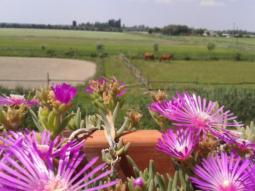 Valle Rillo Agriturismo Βίλα Comacchio Εξωτερικό φωτογραφία