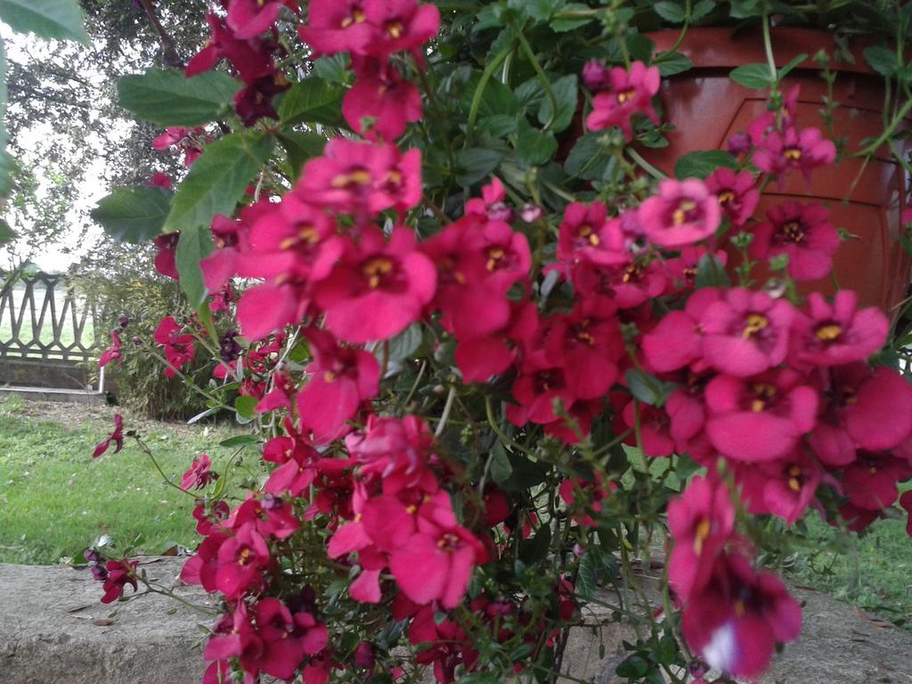 Valle Rillo Agriturismo Βίλα Comacchio Εξωτερικό φωτογραφία