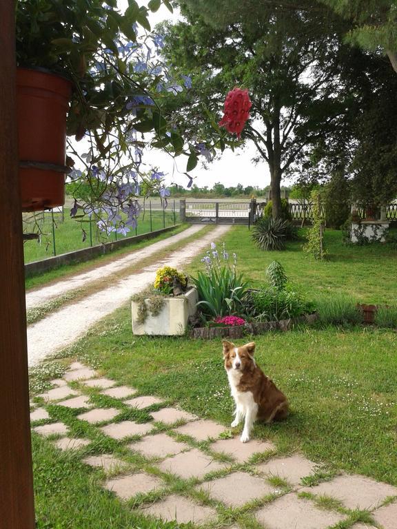 Valle Rillo Agriturismo Βίλα Comacchio Εξωτερικό φωτογραφία