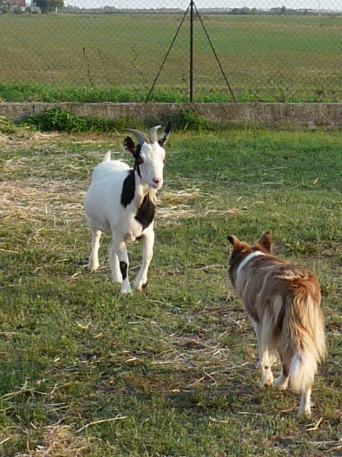 Valle Rillo Agriturismo Βίλα Comacchio Εξωτερικό φωτογραφία