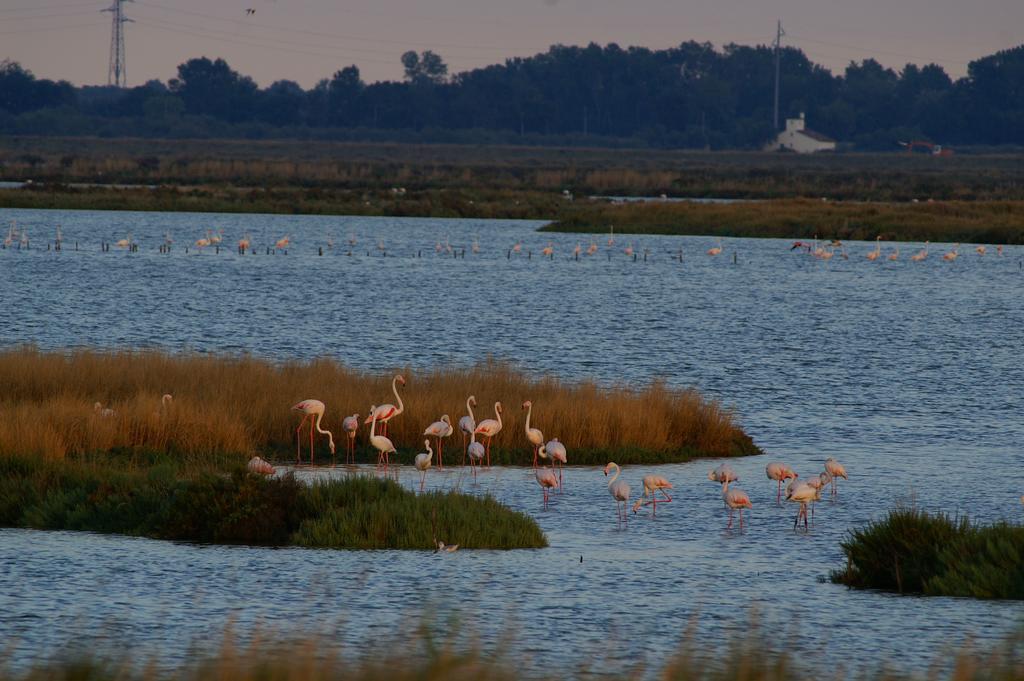 Valle Rillo Agriturismo Βίλα Comacchio Εξωτερικό φωτογραφία