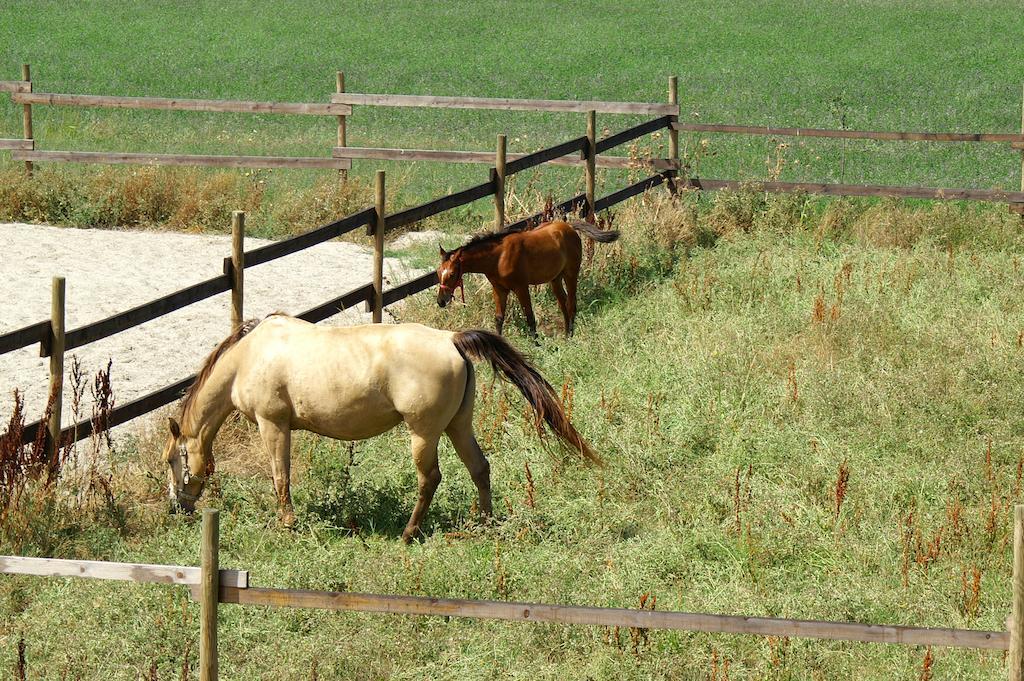 Valle Rillo Agriturismo Βίλα Comacchio Εξωτερικό φωτογραφία