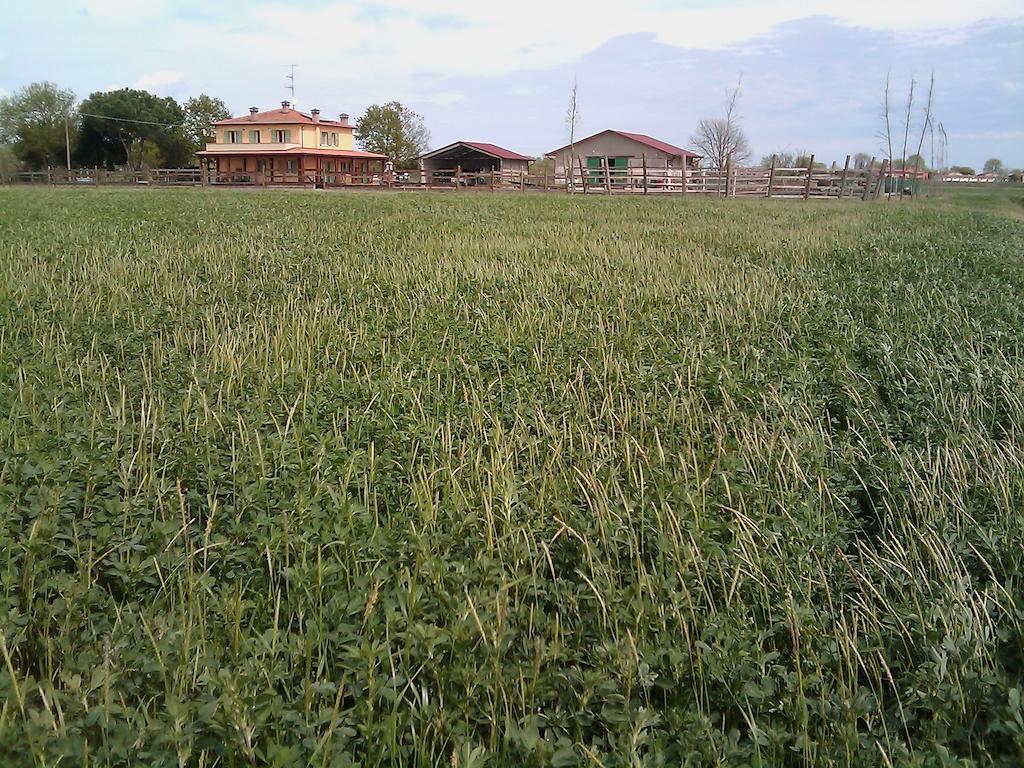 Valle Rillo Agriturismo Βίλα Comacchio Εξωτερικό φωτογραφία