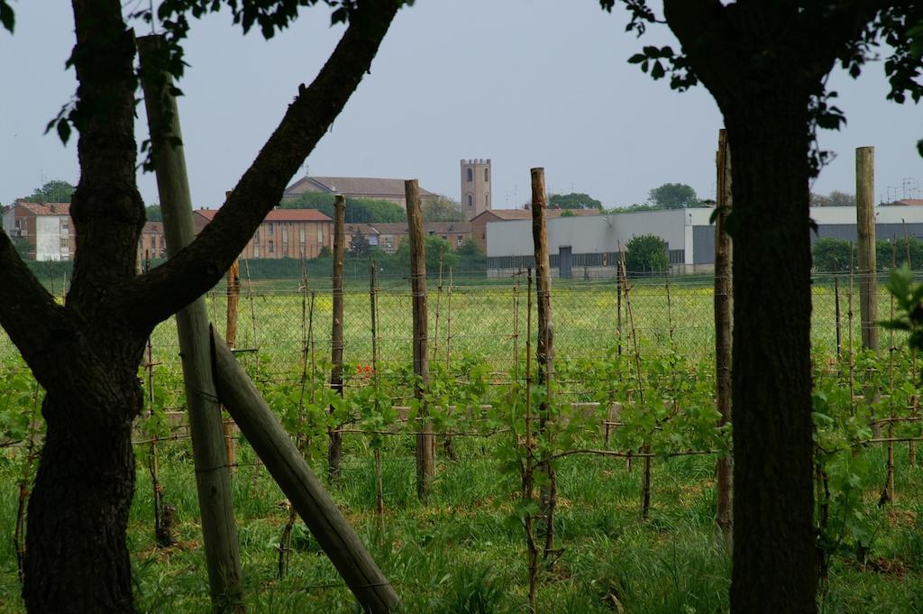 Valle Rillo Agriturismo Βίλα Comacchio Εξωτερικό φωτογραφία