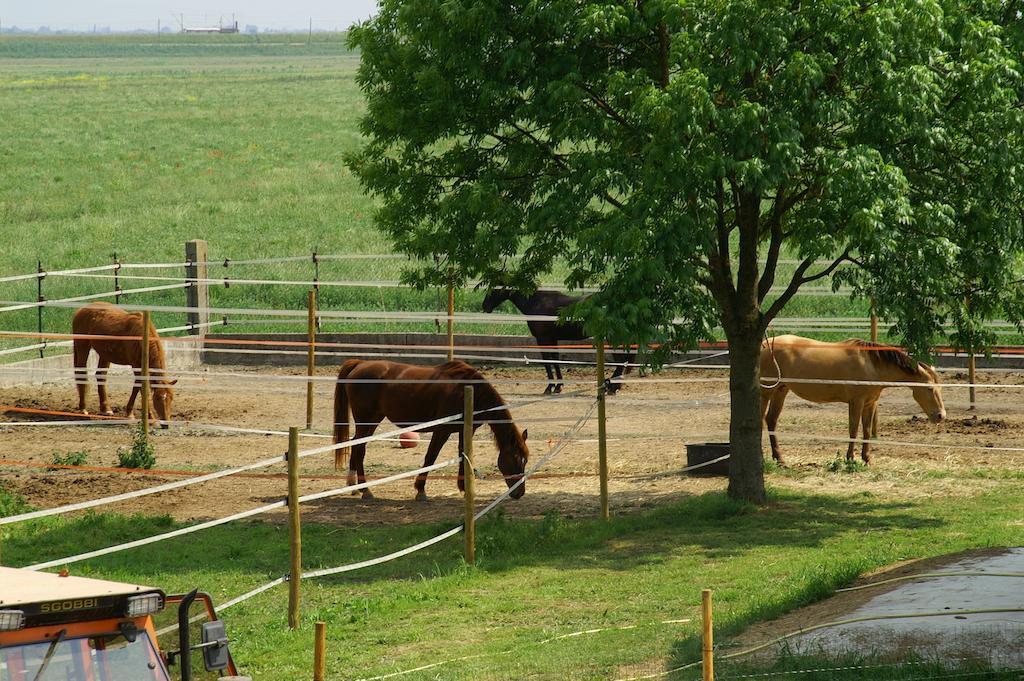 Valle Rillo Agriturismo Βίλα Comacchio Εξωτερικό φωτογραφία